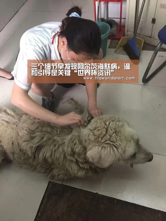 三个细节早发现阿尔茨海默病,温和引导是关键“世界杯资讯”(图1) 新闻快讯