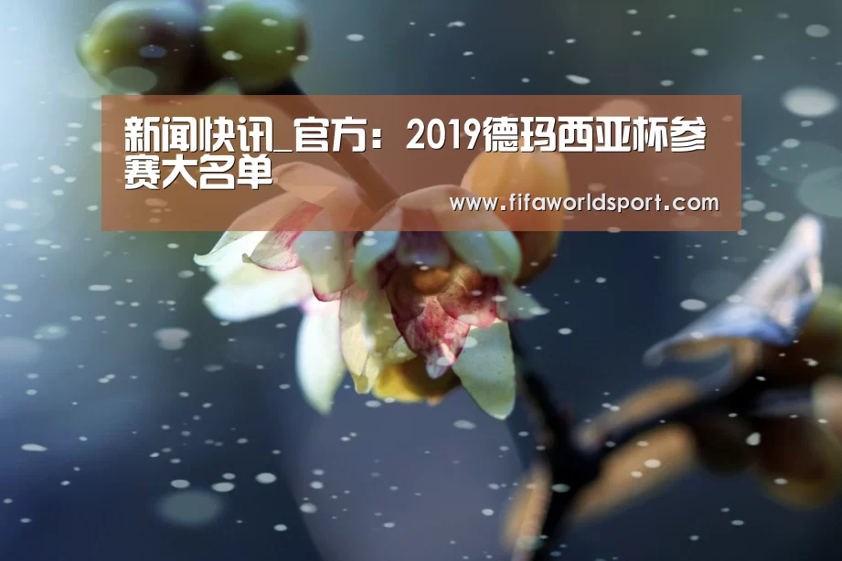球队资料