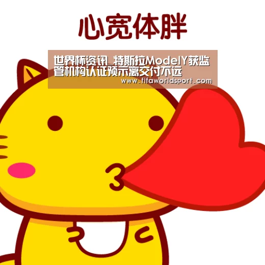 世界杯资讯_特斯拉ModelY获监管机构认证预示离交付不远(图2) 世界杯资讯