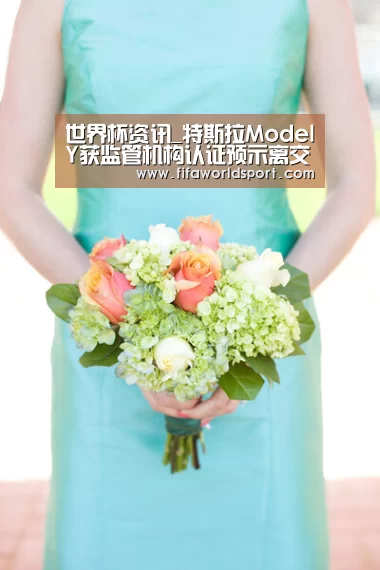 世界杯资讯_特斯拉ModelY获监管机构认证预示离交付不远(图3) 新闻快讯