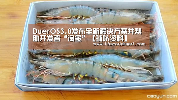 球队资料