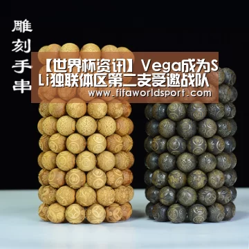 球队资料