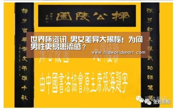 世界杯资讯_男女差异大揭秘!为何男性更易患流感?(图2) 赛程时间