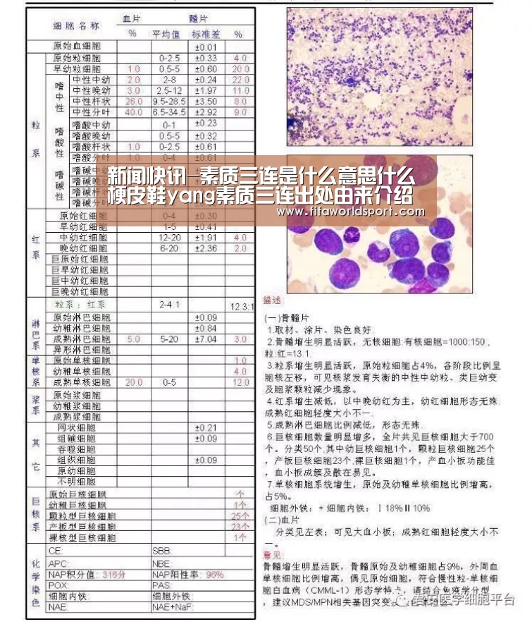 新闻快讯-素质三连是什么意思什么梗皮鞋yang素质三连出处由来介绍(图3) 赛程时间
