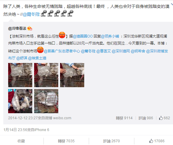 体育,功能更多元_新闻快讯(图1) 球队资料