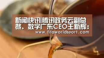 球队资料