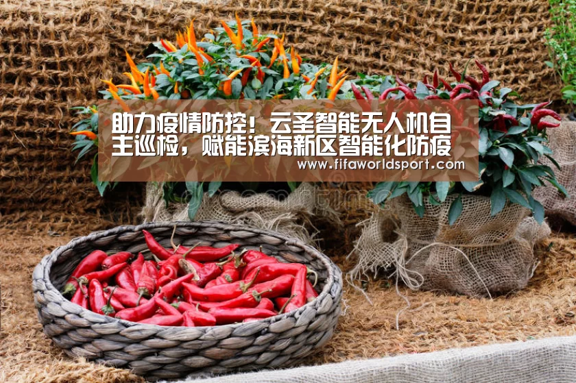 助力疫情防控!云圣智能无人机自主巡检,赋能滨海新区智能化防疫“新闻快讯”(图1) 赛程时间