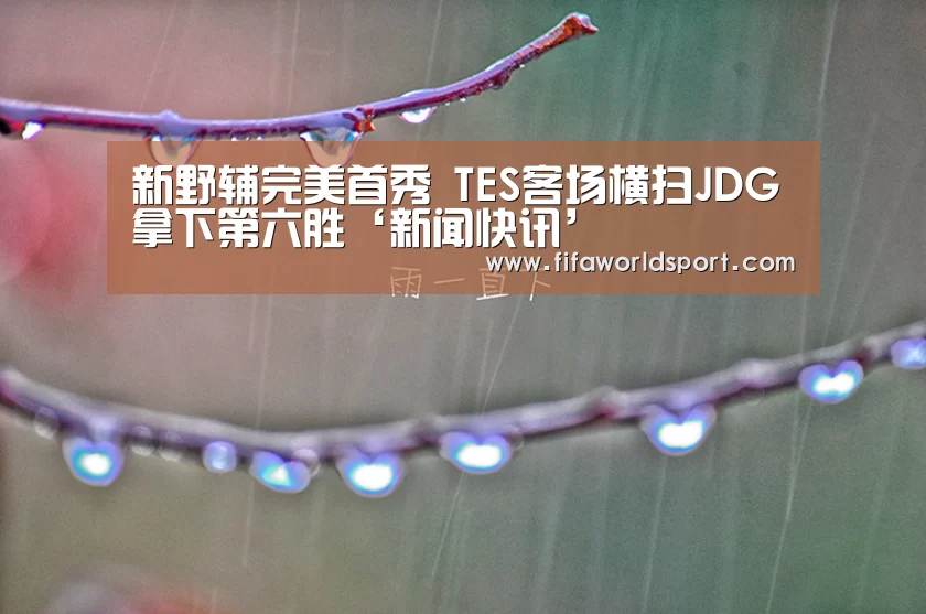 世界杯资讯