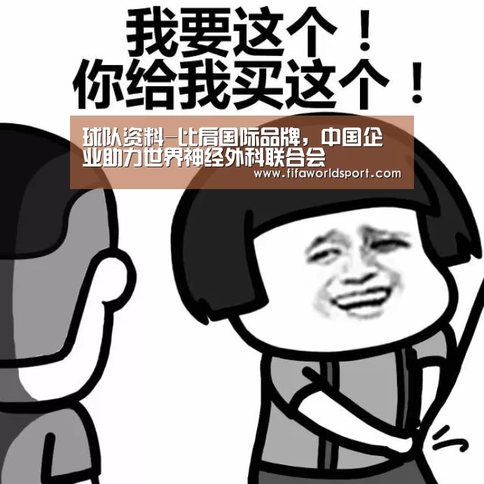球队资料-比肩国际品牌,中国企业助力世界神经外科联合会(图1) 赛程时间