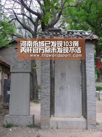 河南永城已发现103例丙肝官方称未发现不洁针具|新闻快讯(图2) 世界杯资讯