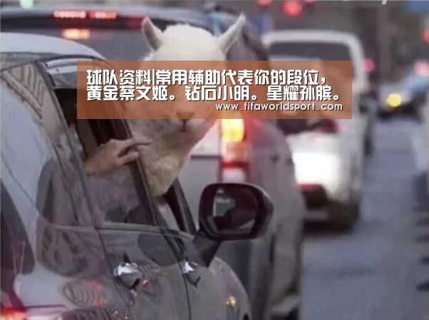 新闻快讯