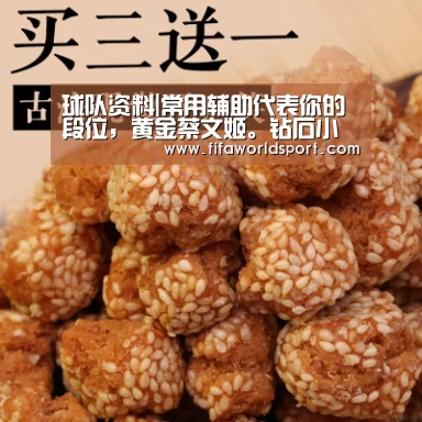 球队资料